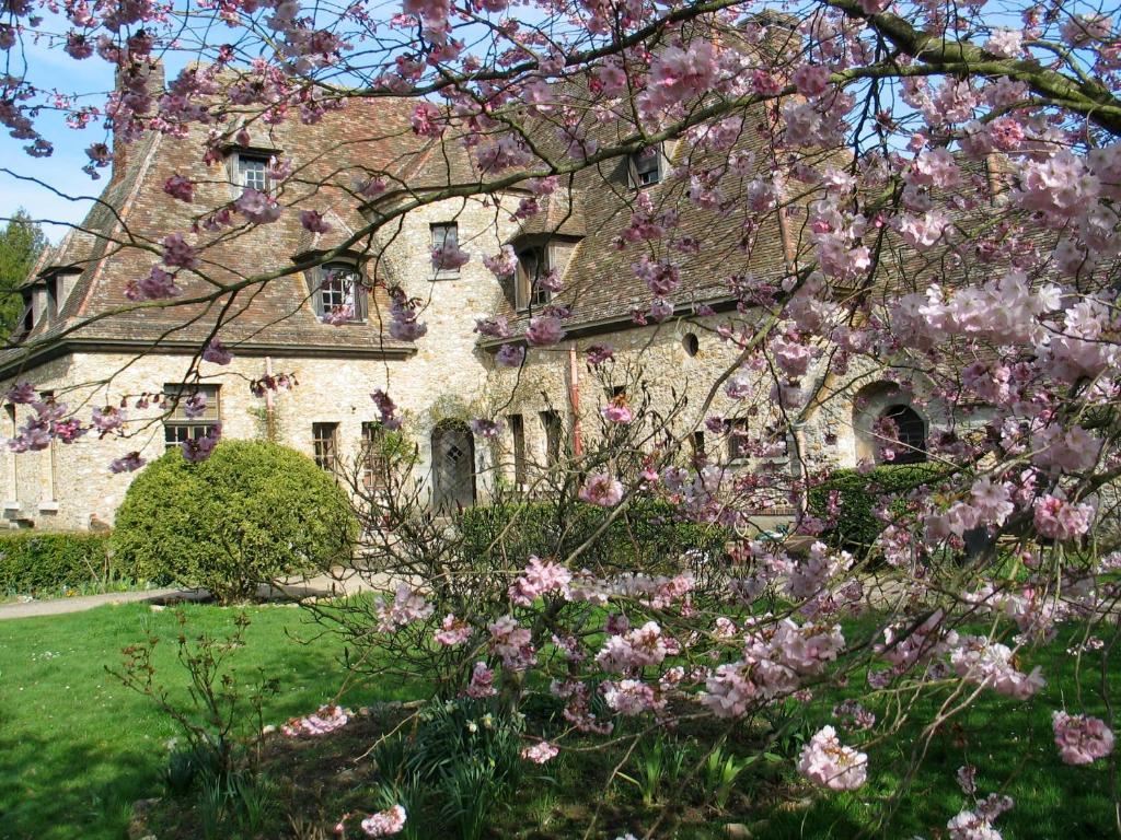 Le Logis D'Arniere Panzió Saint Cyr-sous-Dourdan Kültér fotó